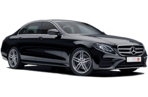 premium-rogné